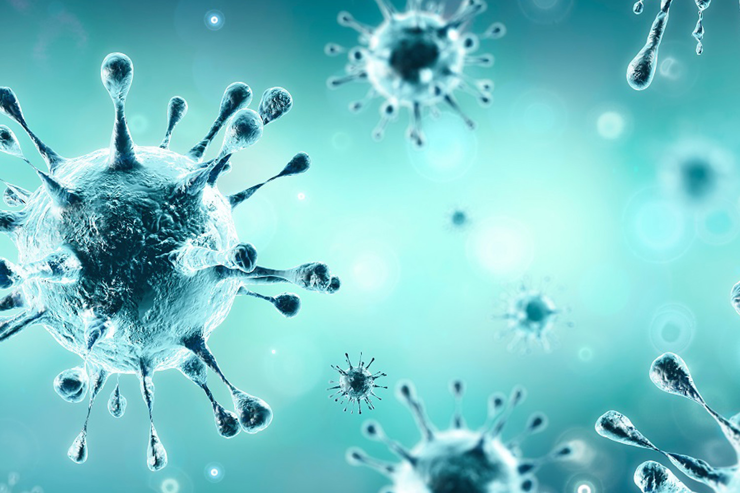 The 9th wave of new coronavirus infections is now prevalent.